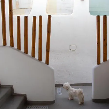 Glykeria Mini 3* Perivolos (Santorini)